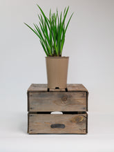 products/SotoProductShootLowQ-1901.jpg